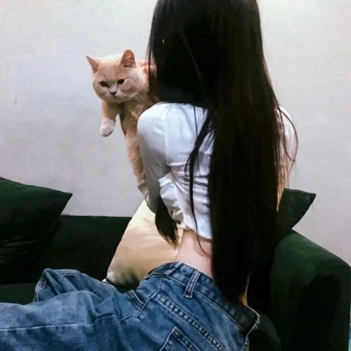 太空熊猫英雄归来